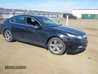 ✅ 2013 Acura TL • VIN: 19UUA9F24DA004176 • Lot: 42482291. Listed on IAAI with 102,225 mi. Free auction sales archive from the USA and detailed vehicle history report at DreamBid. Image 1.