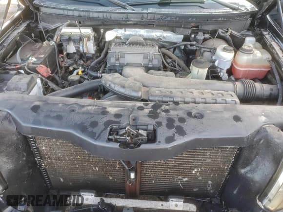 ✅ 2007 Ford F-150 XLT • VIN: 1FTPW12V27KB82925 • Lot: 94551055. Wystawiony na Copart z przebiegiem 313 706 mil. Bezpłatny archiwum sprzedaży aukcyjnych z USA i szczegółowy raport historii pojazdu na DreamBid. Zdjęcie 11.