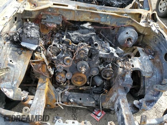 ✅ 2004 Ford F-150 XLT • VIN: 1FTPX14514NA54308 • Лот: 69734105. Опубликован ранее на Copart с пробегом Не указан. Бесплатный доступ к архиву аукционных продаж из США и подробный отчёт об истории автомобиля на DreamBid. Изображение 11.