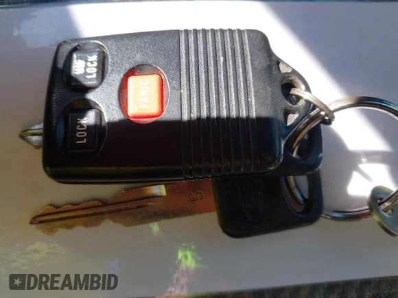 ✅ 1997 Ford Explorer XL • VIN: 1FMDU34E1VZA94160 • Lot: 43251651. Wystawiony na IAAI z przebiegiem 192 394 mil. Bezpłatny archiwum sprzedaży aukcyjnych z USA i szczegółowy raport historii pojazdu na DreamBid. Zdjęcie 11.