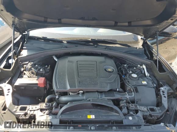 ✅ 2019 Jaguar F-Pace 25t R-Sport • VIN: SADCL2FX0KA607442 • Lot: 65598625. Wystawiony na Copart z przebiegiem 47 501 mil. Bezpłatny archiwum sprzedaży aukcyjnych z USA i szczegółowy raport historii pojazdu na DreamBid. Zdjęcie 12.