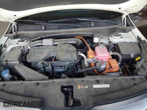 ✅ 2025 Kia Sportage LX • VIN: KNDPU3DG1S7187755 • Lot: 70369715. Wystawiony na Copart z przebiegiem 19 405 mil. Bezpłatny archiwum sprzedaży aukcyjnych z USA i szczegółowy raport historii pojazdu na DreamBid. Zdjęcie 11.