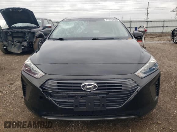 ✅ 2019 Hyundai Ioniq Blue • VIN: KMHC65LC0KU178528 • Lot: 81238754. Wystawiony na Copart z przebiegiem 116 079 mil. Bezpłatny archiwum sprzedaży aukcyjnych z USA i szczegółowy raport historii pojazdu na DreamBid. Zdjęcie 5.