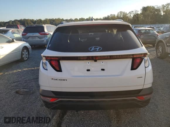 ✅ 2024 Hyundai Tucson SEL • VIN: 5NMJBCDE2RH393700 • Lot: 81077834. Wystawiony na Copart z przebiegiem Nie podano. Bezpłatny archiwum sprzedaży aukcyjnych z USA i szczegółowy raport historii pojazdu na DreamBid. Zdjęcie 6.