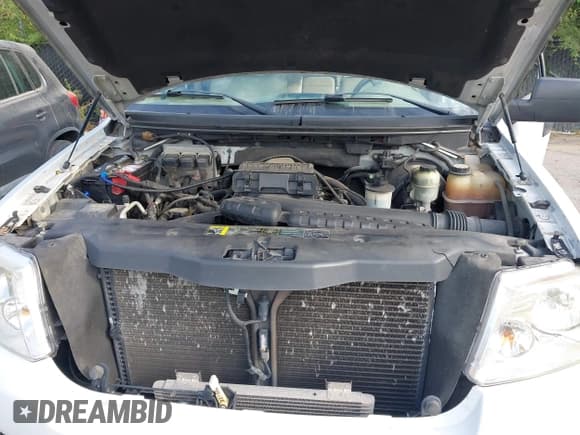 ✅ 2004 Ford F-150 XLT • VIN: 1FTPW12564KB44433 • Лот: 43241803. Опубликован ранее на IAAI с пробегом 201 868 миль. Бесплатный доступ к архиву аукционных продаж из США и подробный отчёт об истории автомобиля на DreamBid. Изображение 10.