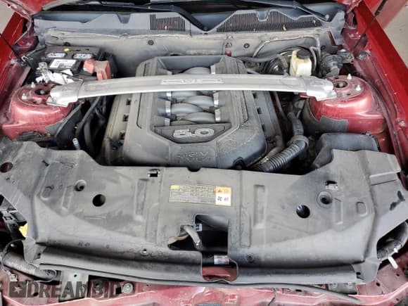 ✅ 2014 Ford Mustang GT • VIN: 1ZVBP8CF4E5252795 • Лот: 93037315. Опубликован ранее на Copart с пробегом 103 188 миль. Бесплатный доступ к архиву аукционных продаж из США и подробный отчёт об истории автомобиля на DreamBid. Изображение 11.