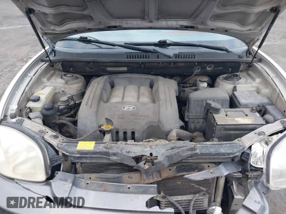 2004 Hyundai Santa Fe GLS z VIN KM8SC73D74U839371, wystawiony jako IAAI lot #41345066 z przebiegiem 168 923 mil mil oraz . Historia ofert i sprzedaży dostępna na DreamBid. Obrazek 10.