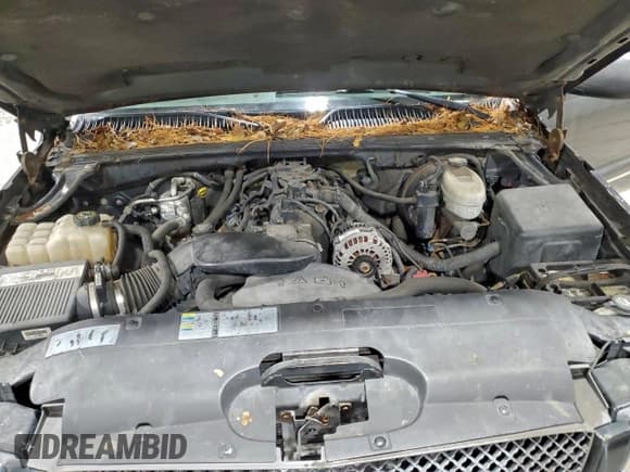 ✅ 2003 Chevrolet Silverado 1500 LS • VIN: 1GCEK14T23Z114205 • Lot: 95152665. Listed on Copart with 164,838 mi. Free auction sales archive from the USA and detailed vehicle history report at DreamBid. Image 11.