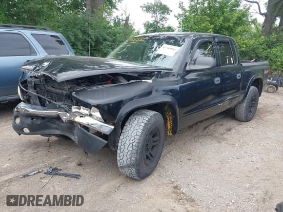 ✅ 2004 Dodge Dakota SLT • VIN: 1D7HG48N84S665038 • Lot: 42568882. Listed on IAAI with 147,445 mi. Free auction sales archive from the USA and detailed vehicle history report at DreamBid. Image 2.