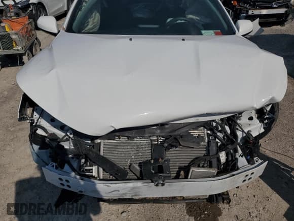 ✅ 2017 Chevrolet Volt Premier • VIN: 1G1RD6S58HU213802 • Lot: 69273254. Wystawiony na Copart z przebiegiem Nie podano. Bezpłatny archiwum sprzedaży aukcyjnych z USA i szczegółowy raport historii pojazdu na DreamBid. Zdjęcie 11.