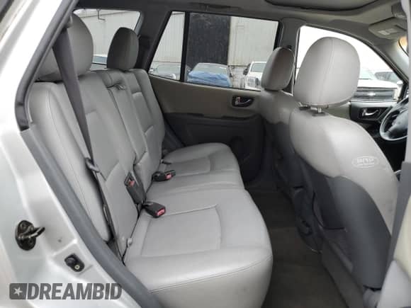 2005 Hyundai Santa Fe GLS with VIN KM8SC13E45U894450, listed as a Copart auction lot 81126475 with 117,824 mi miles and Salvage title. Bid and sale history available at DreamBid. Image 11.