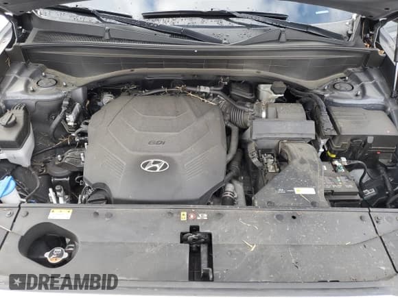 ✅ 2022 Hyundai Palisade SEL • VIN: KM8R4DHE9NU418197 • Лот: 45343365. Опубликован ранее на Copart с пробегом 47 504 миль. Бесплатный доступ к архиву аукционных продаж из США и подробный отчёт об истории автомобиля на DreamBid. Изображение 13.