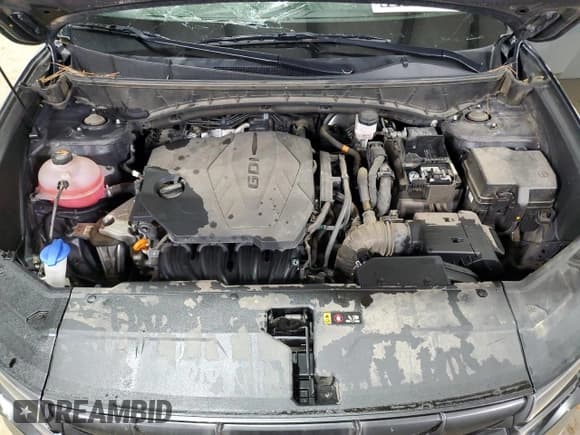 ✅ 2023 Hyundai Tucson SE • VIN: 5NMJA3AE1PH244375 • Lot: 82016994. Wystawiony na Copart z przebiegiem 41 354 mil. Bezpłatny archiwum sprzedaży aukcyjnych z USA i szczegółowy raport historii pojazdu na DreamBid. Zdjęcie 12.