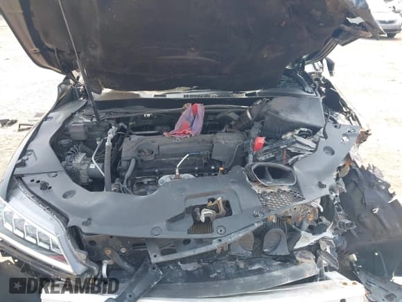 ✅ 2017 Acura TLX Technology • VIN: 19UUB1F51HA009558 • Lot: 42892334. Wystawiony na IAAI z przebiegiem Nie podano. Bezpłatny archiwum sprzedaży aukcyjnych z USA i szczegółowy raport historii pojazdu na DreamBid. Zdjęcie 10.