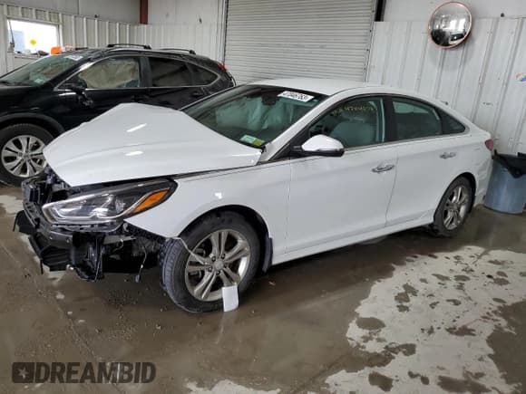 ✅ 2019 Hyundai Sonata SEL • VIN: 5NPE34AF2KH807620 • Lot: 47046763. Listed on Copart with Not provided. Free auction sales archive from the USA and detailed vehicle history report at DreamBid. Image 1.