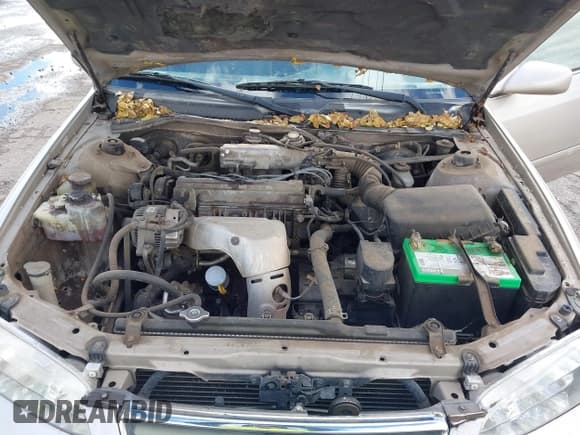 ✅ 2001 Toyota Camry LE • VIN: 4T1BG22K71U119538 • Lot: 43727838. Wystawiony na IAAI z przebiegiem 228 510 mil. Bezpłatny archiwum sprzedaży aukcyjnych z USA i szczegółowy raport historii pojazdu na DreamBid. Zdjęcie 10.