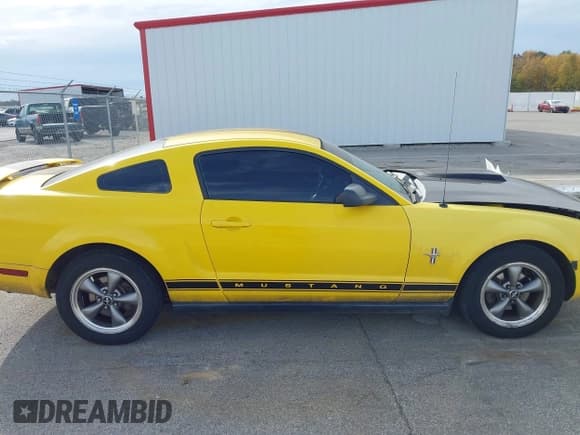 ✅ 2006 Ford Mustang Standard • VIN: 1ZVHT80N065151143 • Lot: 43535514. Listed on IAAI with 178,420 mi. Free auction sales archive from the USA and detailed vehicle history report at DreamBid. Image 14.