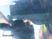 2005 Toyota Sienna LE z VIN 5TDZA23C95S289812, wystawiony jako IAAI lot #43582218 z przebiegiem Nie podano mil oraz . Historia ofert i sprzedaży dostępna na DreamBid. Obrazek 9.