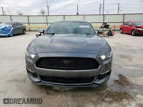 ✅ 2017 Ford Mustang V6 • VIN: 1FA6P8AM9H5286652 • Lot: 86519404. Listed on Copart with 83,761 mi. Free auction sales archive from the USA and detailed vehicle history report at DreamBid. Image 14.