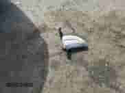 2021 Hyundai Ioniq SE с VIN KMHC65LD0MU249805, выставлен на аукционе Copart как лот 62344544 с пробегом Не указан миль и Списание • Salvage title. История ставок и продаж доступна на DreamBid. Изображение 14.