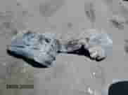 2010 Chevrolet Suburban LT с VIN 1GNUCJE00AR241777, выставлен на аукционе Copart как лот 54056355 с пробегом 172 439 миль миль и Списание • Salvage title. История ставок и продаж доступна на DreamBid. Изображение 13.