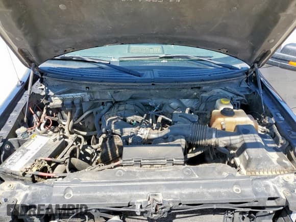 ✅ 2014 Ford F-150 XL • VIN: 1FTEX1EM4EFB60521 • Lot: 52238995. Listed on Copart with 211,070 mi. Free auction sales archive from the USA and detailed vehicle history report at DreamBid. Image 11.