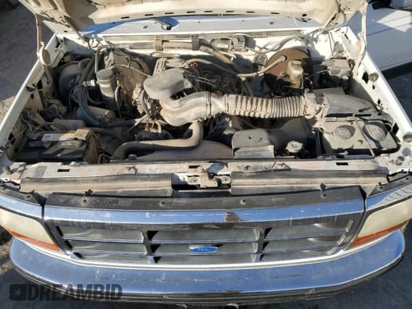 ✅ 1995 Ford F-150 • VIN: 1FTEF15N5SNA83705 • Lot: 84272504. Wystawiony na Copart z przebiegiem 156 826 mil. Bezpłatny archiwum sprzedaży aukcyjnych z USA i szczegółowy raport historii pojazdu na DreamBid. Zdjęcie 11.