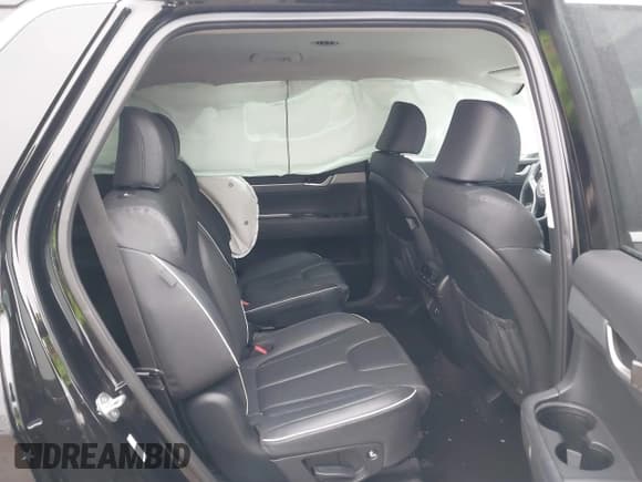 ✅ 2023 Hyundai Palisade SEL • VIN: KM8R2DGE1PU525593 • Лот: 41512410. Опубликован ранее на IAAI с пробегом 53 407 миль. Бесплатный доступ к архиву аукционных продаж из США и подробный отчёт об истории автомобиля на DreamBid. Изображение 8.