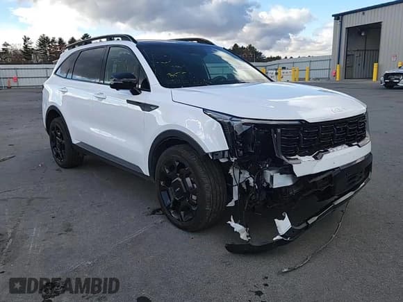 ✅ 2024 Kia Sorento X-Line SX Prestige • VIN: 5XYRKDJF6RG299173 • Lot: 82035505. Wystawiony na Copart z przebiegiem 8 754 mil. Bezpłatny archiwum sprzedaży aukcyjnych z USA i szczegółowy raport historii pojazdu na DreamBid. Zdjęcie 14.