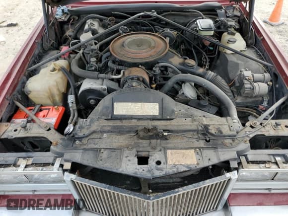 ✅ 1985 Cadillac Eldorado • VIN: 1G6EL6784FE609750 • Lot: 44254425. Wystawiony na Copart z przebiegiem 76 548 mil. Bezpłatny archiwum sprzedaży aukcyjnych z USA i szczegółowy raport historii pojazdu na DreamBid. Zdjęcie 11.