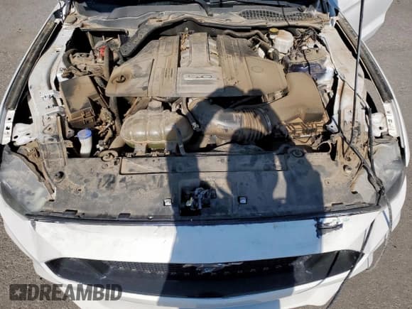 ✅ 2020 Ford Mustang GT • VIN: 1FA6P8CF6L5191294 • Lot: 70022175. Listed on Copart with 34,165 mi. Free auction sales archive from the USA and detailed vehicle history report at DreamBid. Image 11.