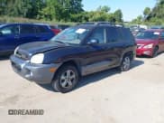 ✅ 2005 Hyundai Santa Fe GLS • VIN: KM8SC13D25U953079 • Lot: 43105682. Wystawiony na IAAI z przebiegiem 168 552 mil. Bezpłatny archiwum sprzedaży aukcyjnych z USA i szczegółowy raport historii pojazdu na DreamBid. Zdjęcie 2.