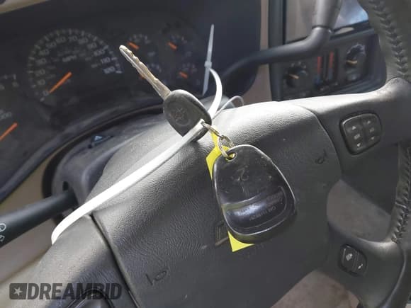 ✅ 2003 Chevrolet Tahoe LS • VIN: 1GNEC13V03R310084 • Lot: 42187078. Listed on IAAI with 217,863 mi. Free auction sales archive from the USA and detailed vehicle history report at DreamBid. Image 11.