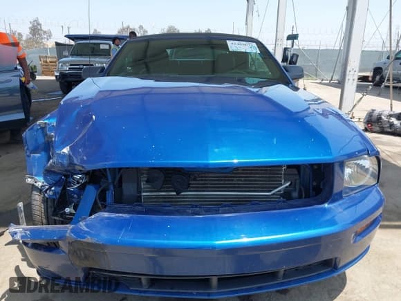 ✅ 2007 Ford Mustang GT Deluxe • VIN: 1ZVFT85H875257335 • Лот: 42489672. Опубликован ранее на IAAI с пробегом 50 334 миль. Бесплатный доступ к архиву аукционных продаж из США и подробный отчёт об истории автомобиля на DreamBid. Изображение 13.