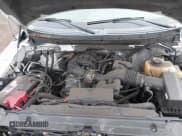 ✅ 2014 Ford F-150 XL • VIN: 1FTEX1EM8EFB18420 • Lot: 41817793. Wystawiony na IAAI z przebiegiem 92 833 mil. Bezpłatny archiwum sprzedaży aukcyjnych z USA i szczegółowy raport historii pojazdu na DreamBid. Zdjęcie 10.