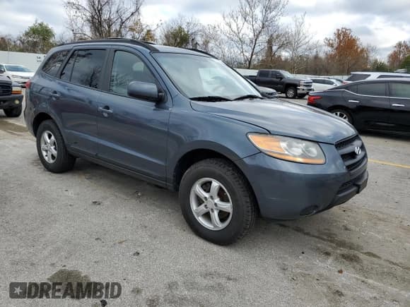 ✅ 2008 Hyundai Santa Fe GLS • VIN: 5NMSG13D28H219353 • Lot: 79215824. Listed on Copart with 181,735 mi. Free auction sales archive from the USA and detailed vehicle history report at DreamBid. Image 4.