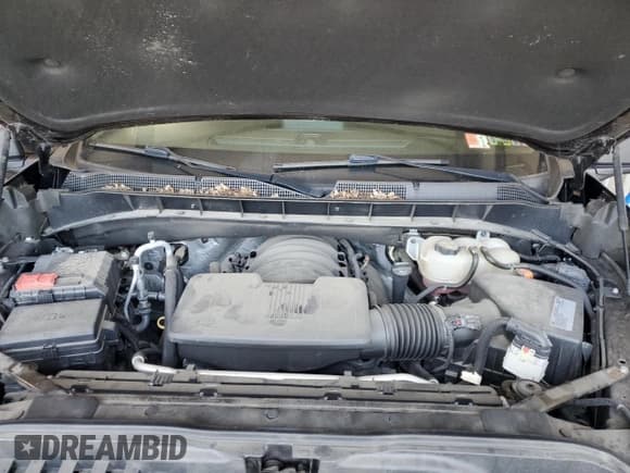 ✅ 2019 Chevrolet Silverado 1500 LT • VIN: 1GCRYDED1KZ355597 • Lot: 80135195. Wystawiony na Copart z przebiegiem 35 825 mil. Bezpłatny archiwum sprzedaży aukcyjnych z USA i szczegółowy raport historii pojazdu na DreamBid. Zdjęcie 11.