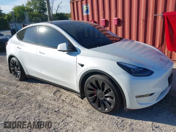 ✅ 2023 Tesla Model Y Performance • VIN: 7SAYGDEF0PF811542 • Lot: 43340864. Wystawiony na IAAI z przebiegiem 20 189 mil. Bezpłatny archiwum sprzedaży aukcyjnych z USA i szczegółowy raport historii pojazdu na DreamBid. Zdjęcie 1.
