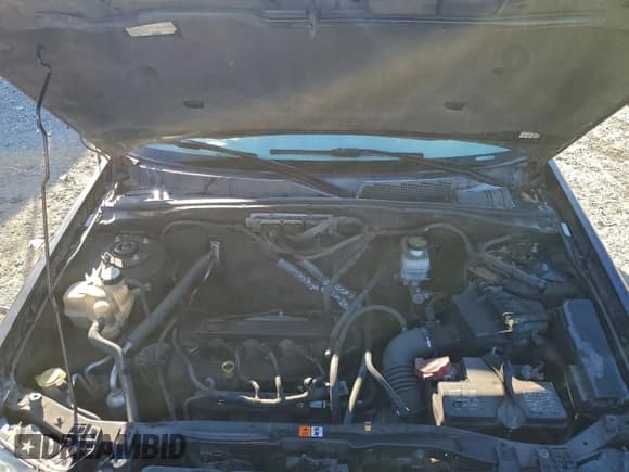 ✅ 2009 Ford Escape XLT • VIN: 1FMCU03719KC81572 • Lot: 95004615. Listed on Copart with 184,827 mi. Free auction sales archive from the USA and detailed vehicle history report at DreamBid. Image 12.