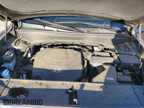 ✅ 2020 Hyundai Palisade SEL • VIN: KM8R44HE0LU126435 • Лот: 88122465. Опубликован ранее на Copart с пробегом 60 785 миль. Бесплатный доступ к архиву аукционных продаж из США и подробный отчёт об истории автомобиля на DreamBid. Изображение 12.