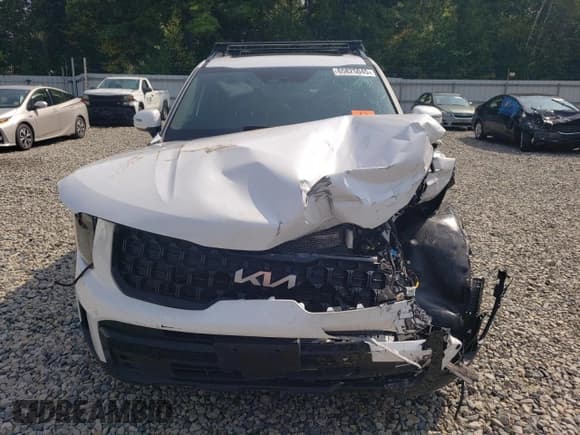 ✅ 2024 Kia Telluride SX Prestige X-Line • VIN: 5XYP5DGCXRG496293 • Lot: 65825045. Listed on Copart with Not provided. Free auction sales archive from the USA and detailed vehicle history report at DreamBid. Image 5.