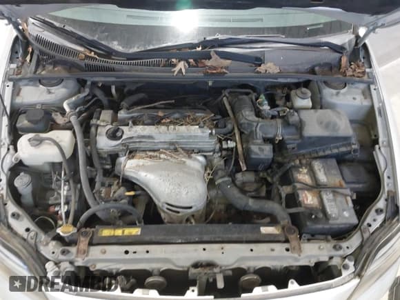 ✅ 2005 Scion tC • VIN: JTKDE177450019825 • Lot: 43894175. Wystawiony na IAAI z przebiegiem 245 045 mil. Bezpłatny archiwum sprzedaży aukcyjnych z USA i szczegółowy raport historii pojazdu na DreamBid. Zdjęcie 10.