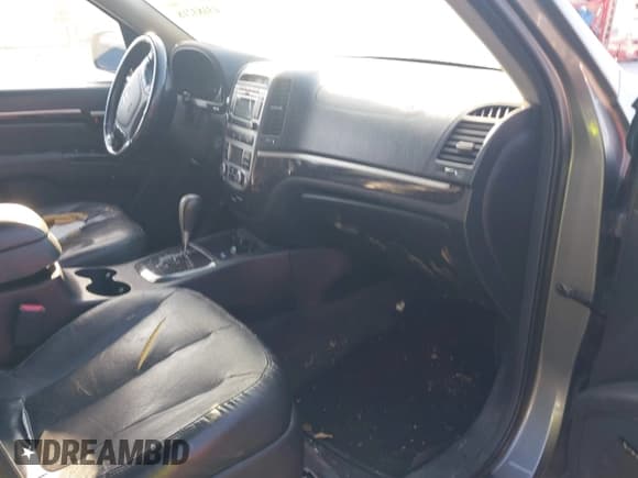 ✅ 2009 Hyundai Santa Fe Limited • VIN: 5NMSH13E49H257061 • Lot: 43183218. Listed on IAAI with 240,399 mi. Free auction sales archive from the USA and detailed vehicle history report at DreamBid. Image 5.