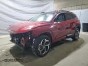 ✅ 2024 Hyundai Tucson Limited • VIN: 5NMJECDE3RH439512 • Lot: 80545435. Listed on Copart with 10,923 mi. Free auction sales archive from the USA and detailed vehicle history report at DreamBid. Image 1.