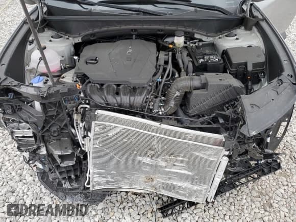 ✅ 2024 Hyundai Tucson Limited • VIN: 5NMJECDE2RH378718 • Lot: 78605534. Wystawiony na Copart z przebiegiem 3 138 mil. Bezpłatny archiwum sprzedaży aukcyjnych z USA i szczegółowy raport historii pojazdu na DreamBid. Zdjęcie 12.