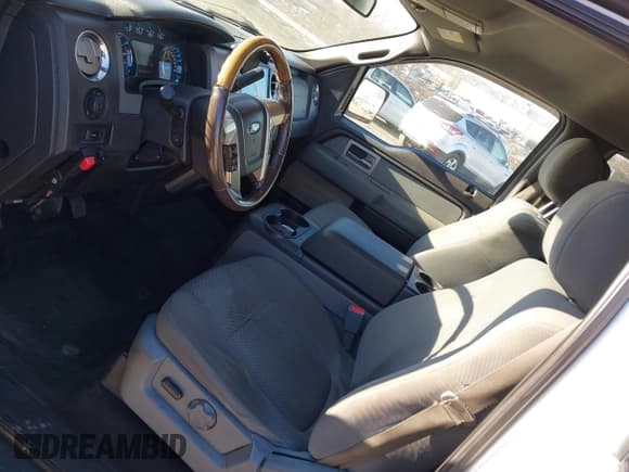 ✅ 2011 Ford F-150 XLT • VIN: 1FTFW1EF0BFB11059 • Lot: 43905361. Listed on IAAI with 290,277 mi. Free auction sales archive from the USA and detailed vehicle history report at DreamBid. Image 19.