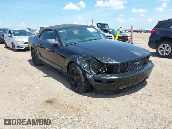 ✅ 2007 Ford Mustang GT Deluxe • VIN: 1ZVFT85H875254094 • Lot: 42593468. Wystawiony na IAAI z przebiegiem 126 596 mil. Bezpłatny archiwum sprzedaży aukcyjnych z USA i szczegółowy raport historii pojazdu na DreamBid. Zdjęcie 1.