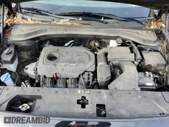 ✅ 2020 Hyundai Santa Fe SE • VIN: 5NMS2CAD9LH140378 • Lot: 78710553. Wystawiony na Copart z przebiegiem 34 451 mil. Bezpłatny archiwum sprzedaży aukcyjnych z USA i szczegółowy raport historii pojazdu na DreamBid. Zdjęcie 11.