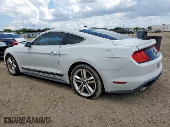 ✅ 2019 Ford Mustang EcoBoost • VIN: 1FA6P8TH9K5118470 • Lot: 61856475. Listed on Copart with 74,485 mi. Free auction sales archive from the USA and detailed vehicle history report at DreamBid. Image 2.