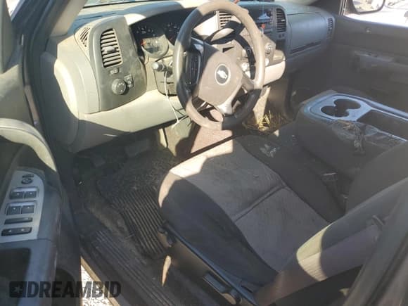 ✅ 2009 Chevrolet Silverado 1500 Work Truck • VIN: 2GCEC19C191119743 • Lot: 74348234. Listed on Copart with 228,738 mi. Free auction sales archive from the USA and detailed vehicle history report at DreamBid. Image 8.